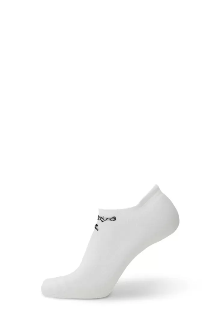 Online Bassotto 100 Socken